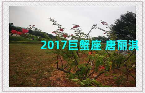 2017巨蟹座 唐丽淇